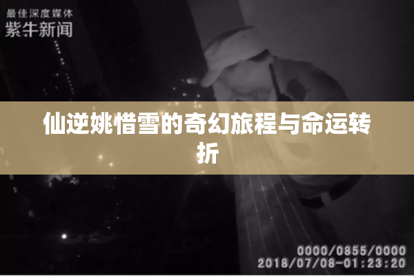 仙逆姚惜雪的奇幻旅程与命运转折