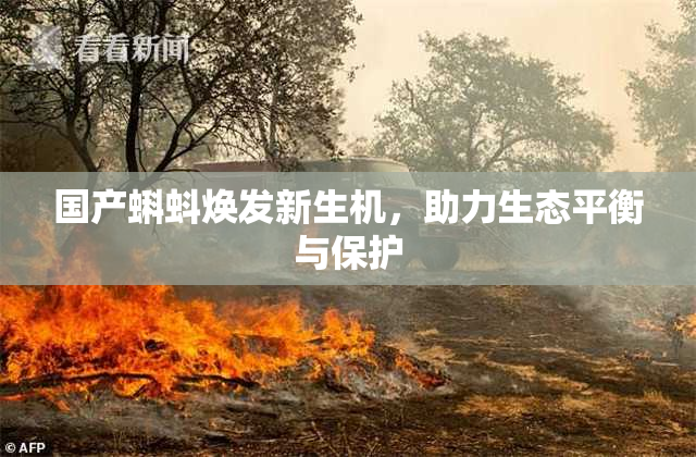 国产蝌蚪焕发新生机，助力生态平衡与保护