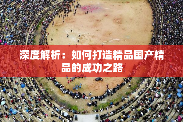 深度解析：如何打造精品国产精品的成功之路