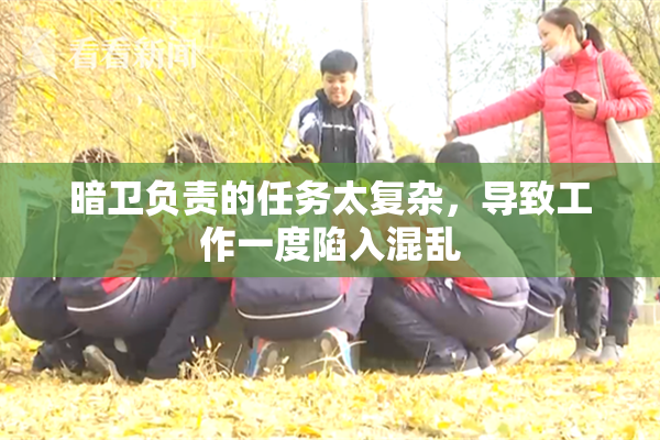 暗卫负责的任务太复杂，导致工作一度陷入混乱