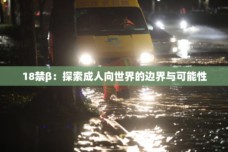 18禁β：探索成人向世界的边界与可能性
