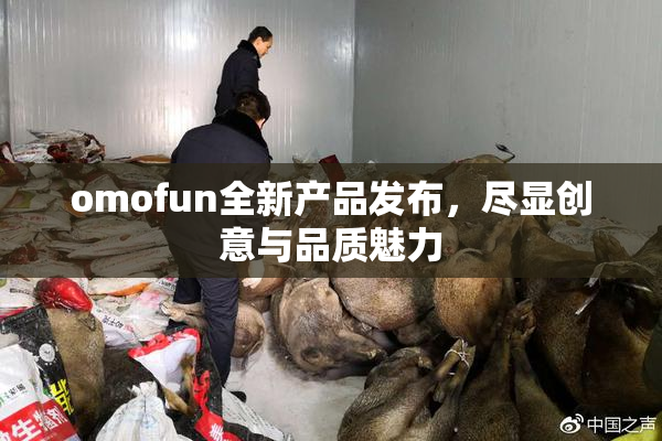 omofun全新产品发布，尽显创意与品质魅力