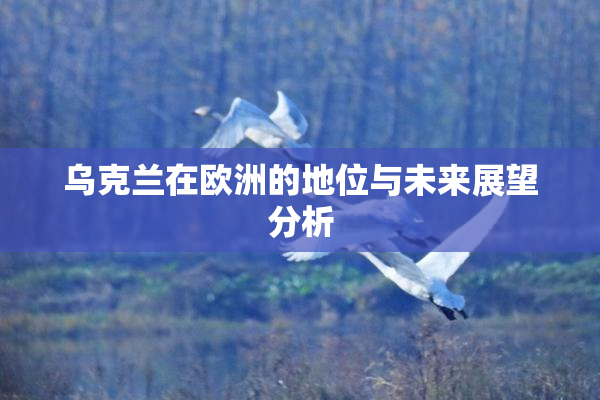 乌克兰在欧洲的地位与未来展望分析