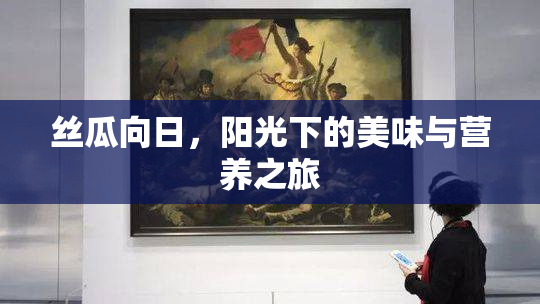 丝瓜向日，阳光下的美味与营养之旅