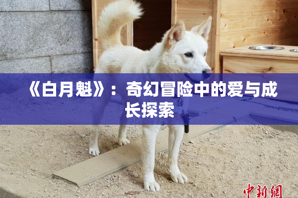 《白月魁》：奇幻冒险中的爱与成长探索