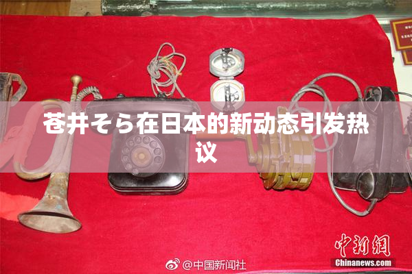 苍井そら在日本的新动态引发热议