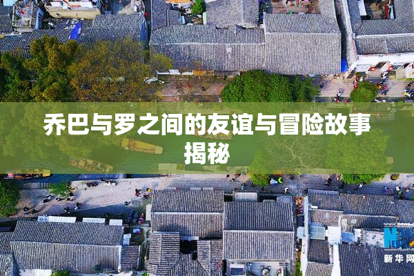 乔巴与罗之间的友谊与冒险故事揭秘