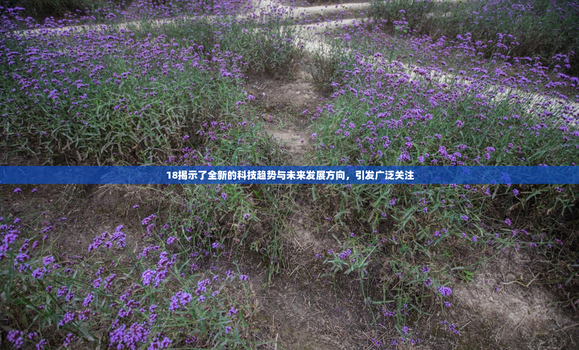 18揭示了全新的科技趋势与未来发展方向，引发广泛关注