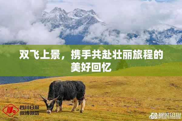 双飞上景，携手共赴壮丽旅程的美好回忆