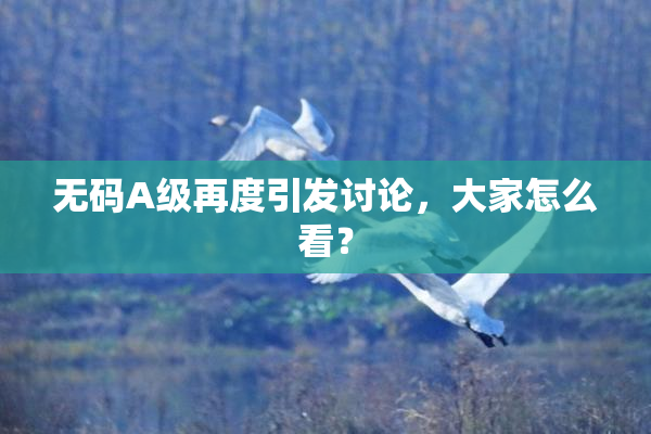 无码A级再度引发讨论，大家怎么看？