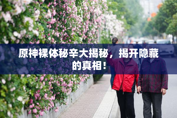原神裸体秘辛大揭秘，揭开隐藏的真相！