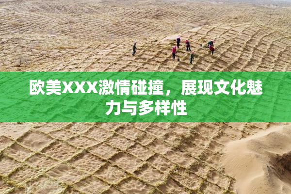 欧美XXX激情碰撞，展现文化魅力与多样性