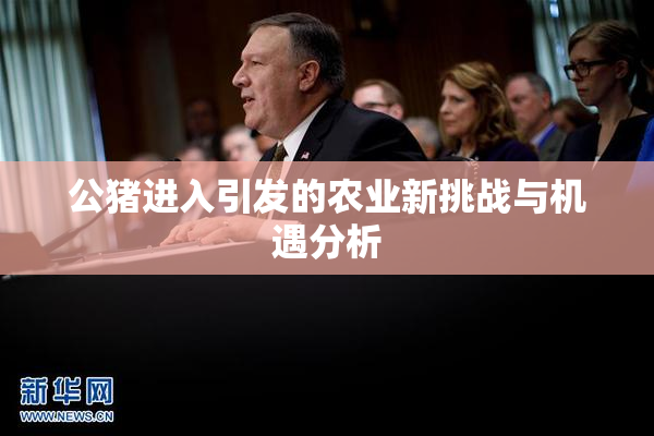 公猪进入引发的农业新挑战与机遇分析