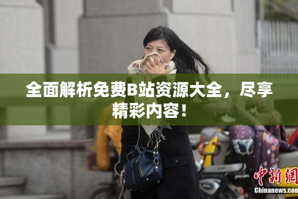 全面解析免费B站资源大全，尽享精彩内容！