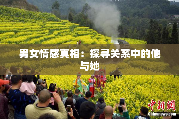 男女情感真相：探寻关系中的他与她