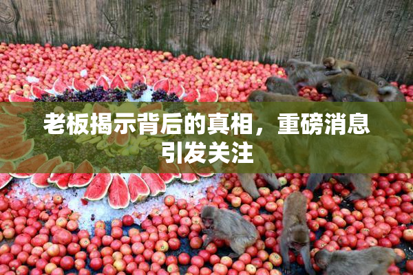 老板揭示背后的真相，重磅消息引发关注