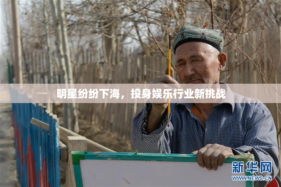 明星纷纷下海，投身娱乐行业新挑战