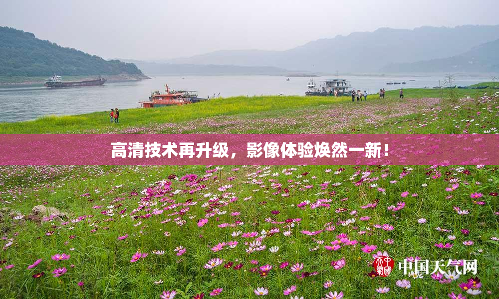 高清技术再升级，影像体验焕然一新！