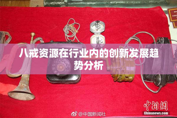 八戒资源在行业内的创新发展趋势分析