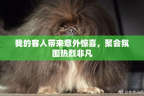 我的客人带来意外惊喜，聚会氛围热烈非凡