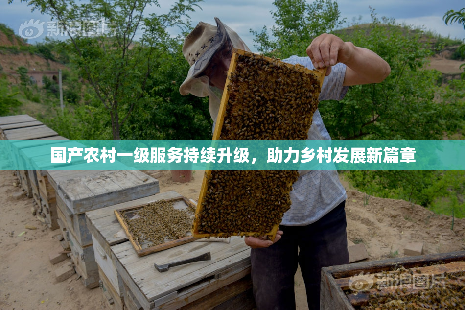 国产农村一级服务持续升级，助力乡村发展新篇章