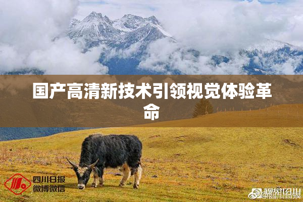 国产高清新技术引领视觉体验革命