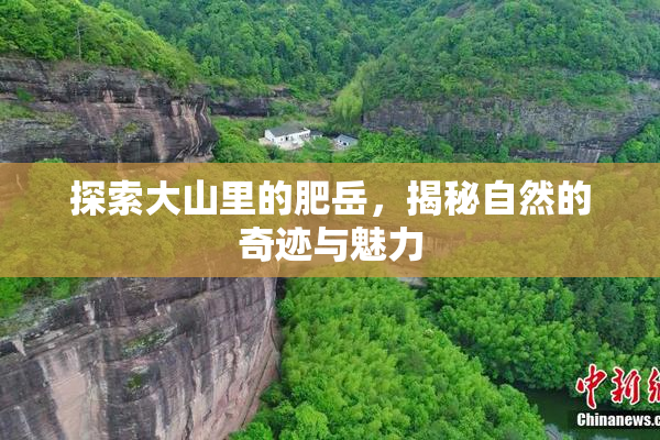 探索大山里的肥岳，揭秘自然的奇迹与魅力