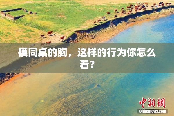 摸同桌的胸，这样的行为你怎么看？