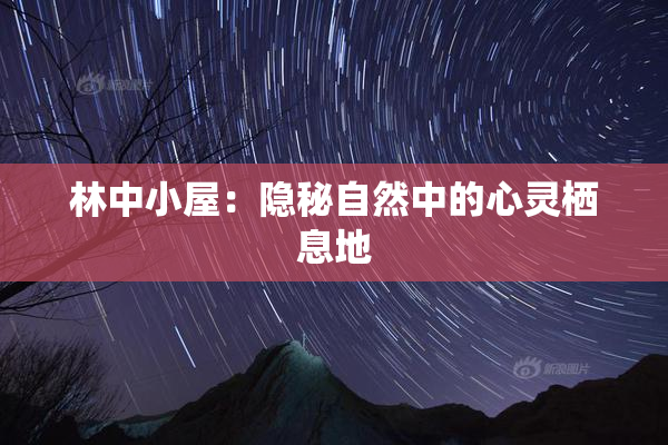林中小屋：隐秘自然中的心灵栖息地