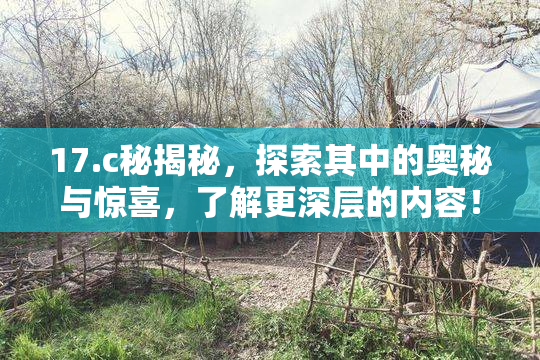 17.c秘揭秘，探索其中的奥秘与惊喜，了解更深层的内容！