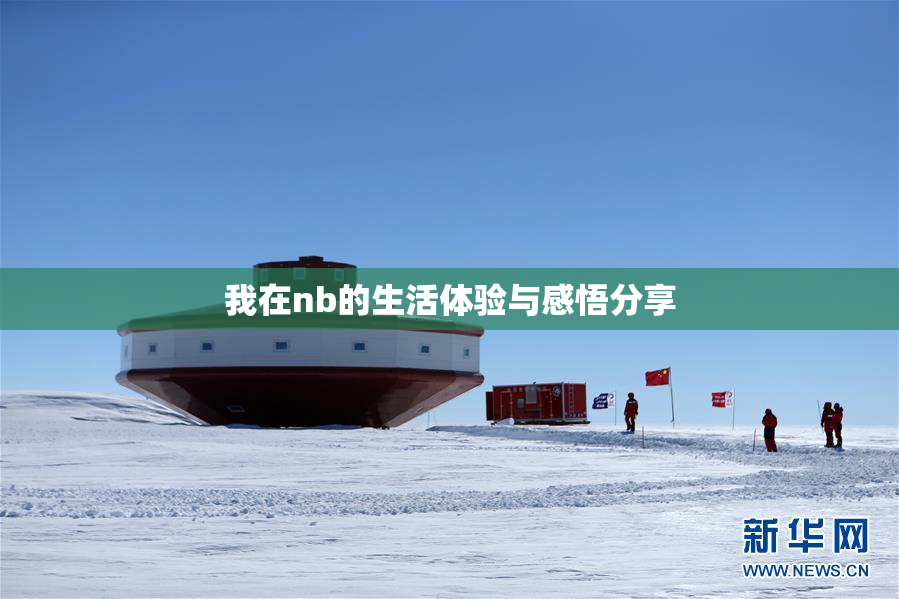 我在nb的生活体验与感悟分享