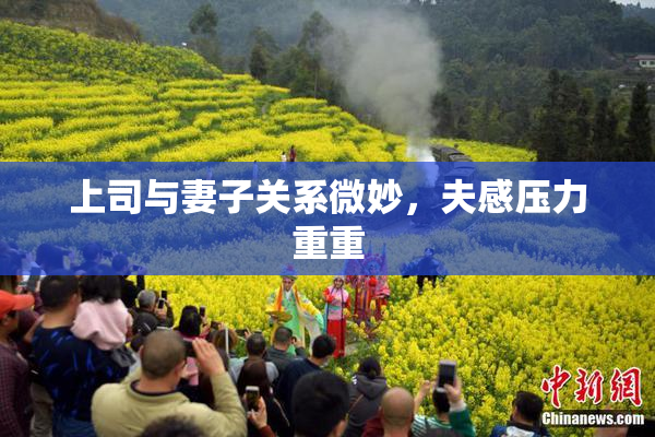 上司与妻子关系微妙，夫感压力重重