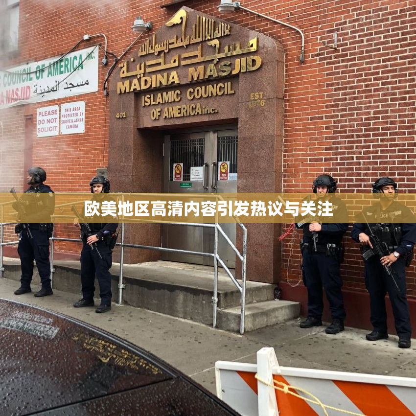 欧美地区高清内容引发热议与关注