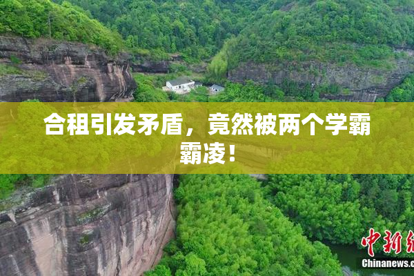 合租引发矛盾，竟然被两个学霸霸凌！