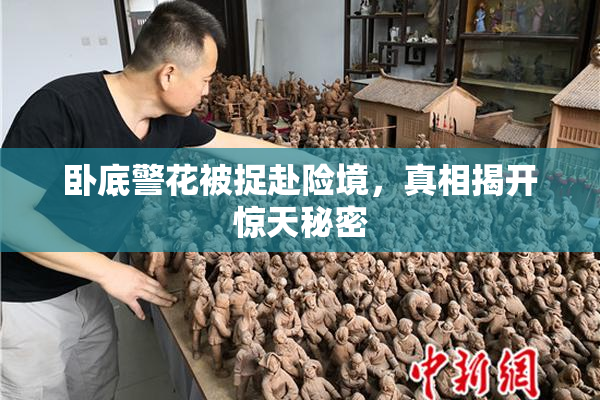 卧底警花被捉赴险境，真相揭开惊天秘密