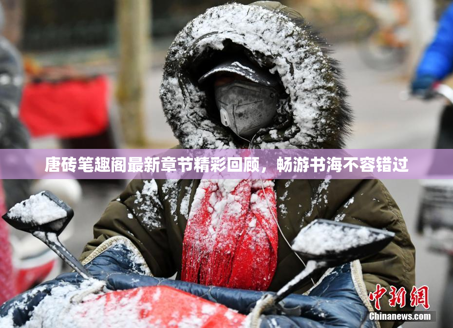 唐砖笔趣阁最新章节精彩回顾，畅游书海不容错过