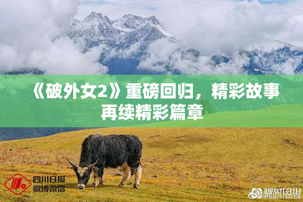 《破外女2》重磅回归，精彩故事再续精彩篇章