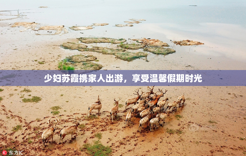 少妇苏霞携家人出游，享受温馨假期时光