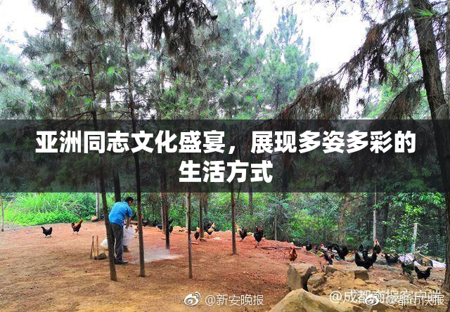 亚洲同志文化盛宴，展现多姿多彩的生活方式