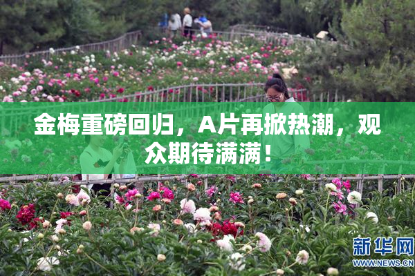 金梅重磅回归，A片再掀热潮，观众期待满满！