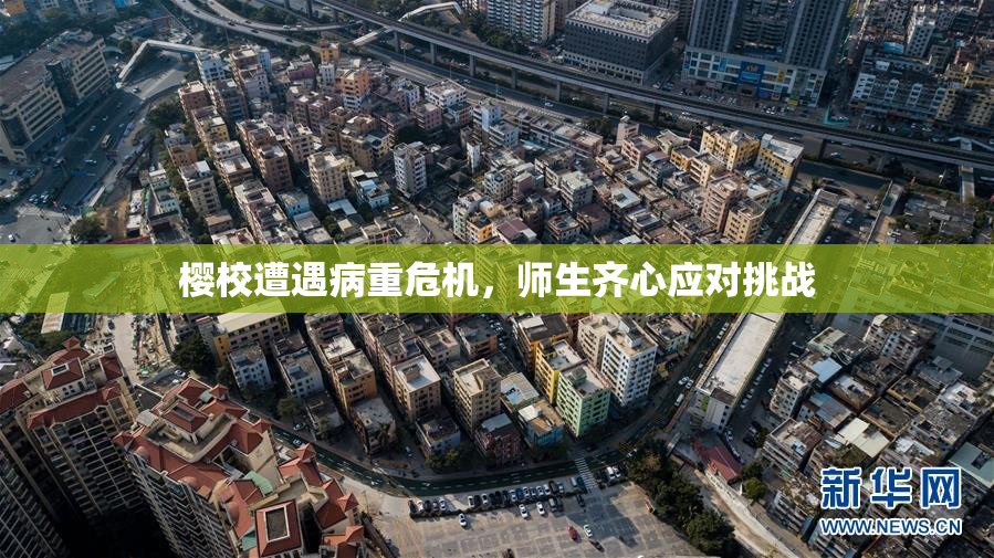 樱校遭遇病重危机，师生齐心应对挑战