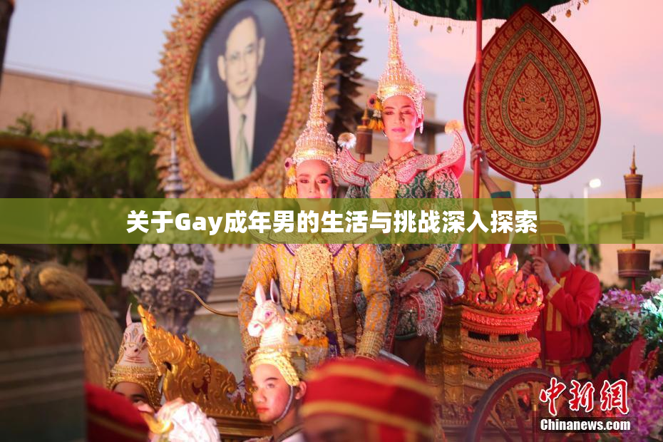 关于Gay成年男的生活与挑战深入探索