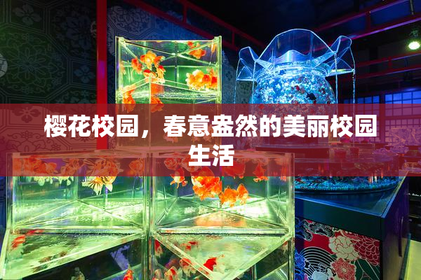 樱花校园，春意盎然的美丽校园生活