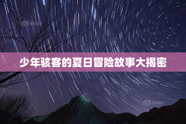 少年骇客的夏日冒险故事大揭密