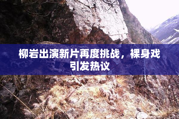 柳岩出演新片再度挑战，裸身戏引发热议