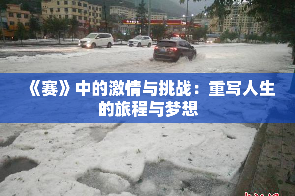 《赛》中的激情与挑战：重写人生的旅程与梦想