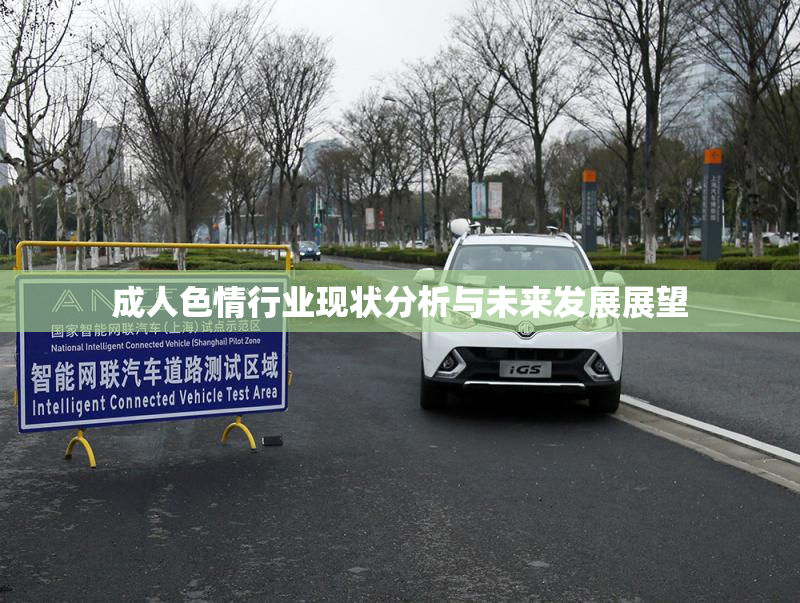 成人色情行业现状分析与未来发展展望