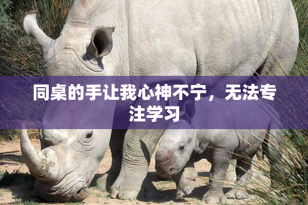 同桌的手让我心神不宁，无法专注学习