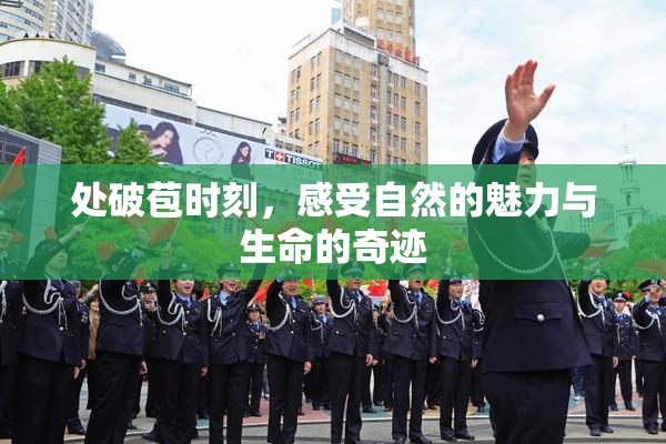 处破苞时刻，感受自然的魅力与生命的奇迹