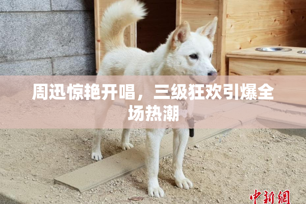 周迅惊艳开唱，三级狂欢引爆全场热潮
